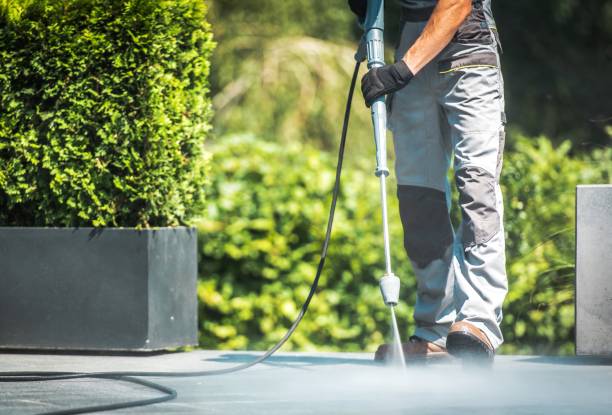 Pre-Holiday Cleaning in North Cape May, NJ