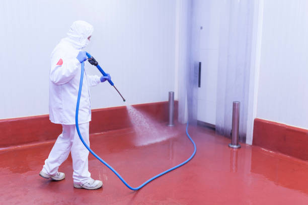 Best Post-Construction Pressure Washing  in North Cape May, NJ